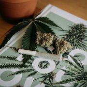 Blog_Can-you-build-up-a-tolerance-to-cannabis-1-scaled