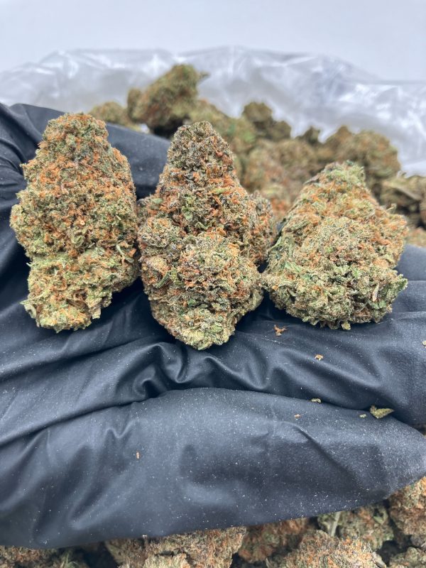 Runtz Premium Flowers