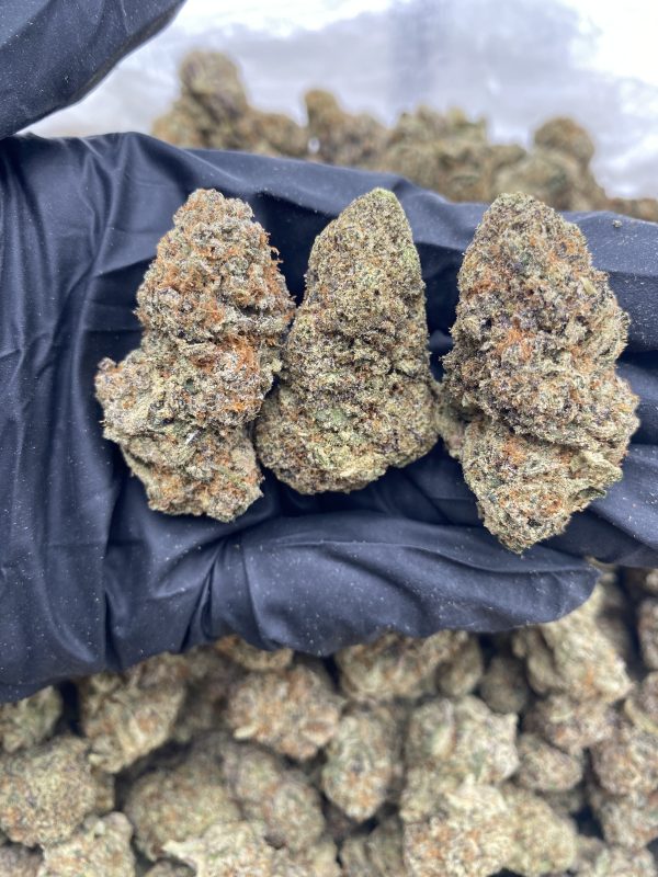 Platinum Zkittlez Designer Flowers