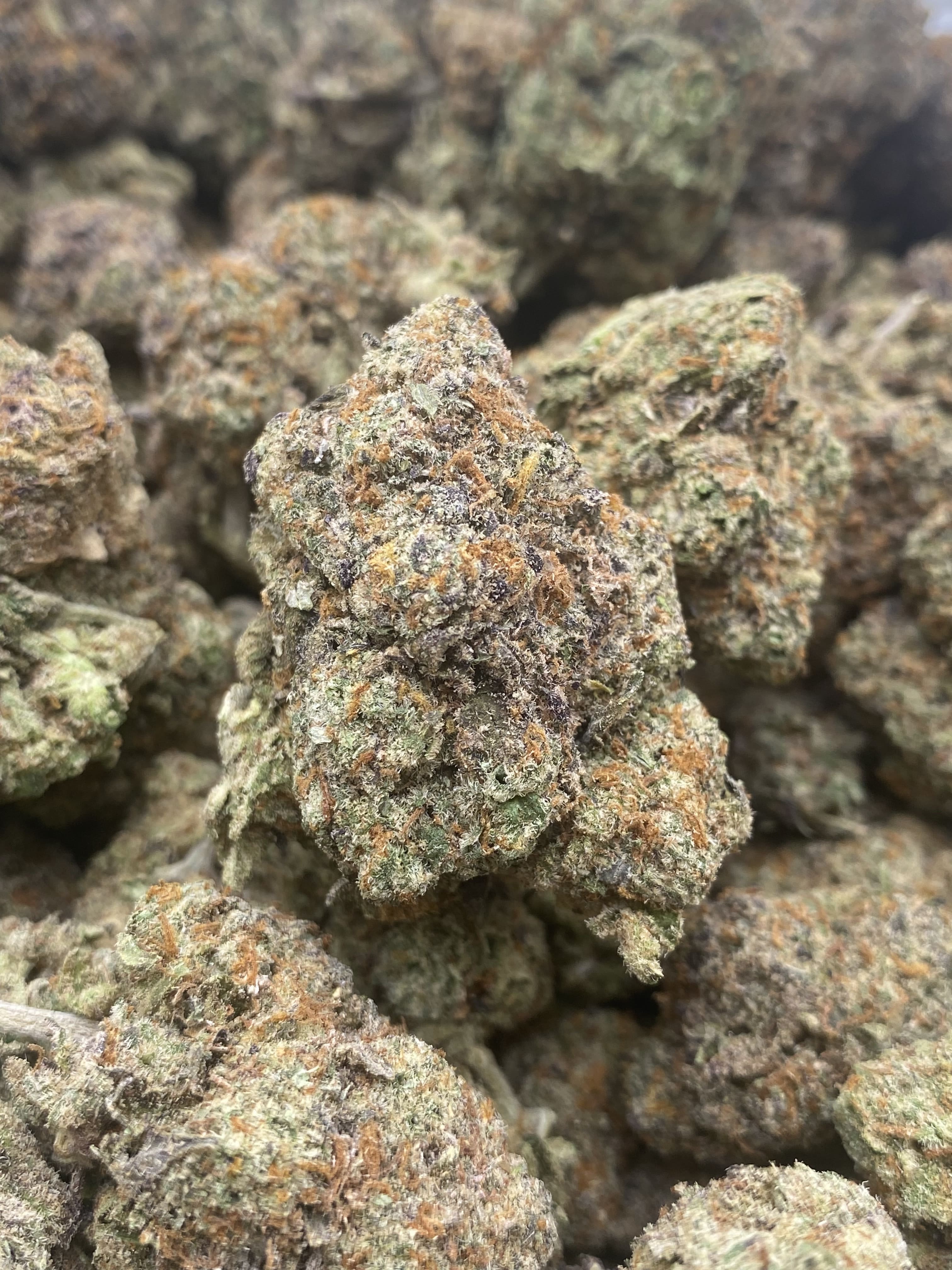 Gelonade Premium Flowers