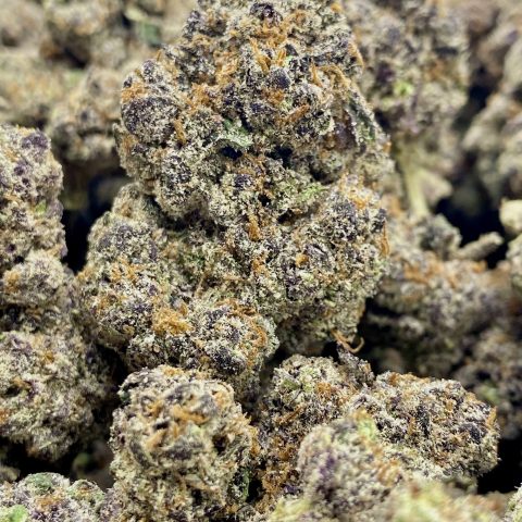 **OUT** Nerdz Exotic Flowers