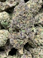 Pistil Gas Daily Flowers