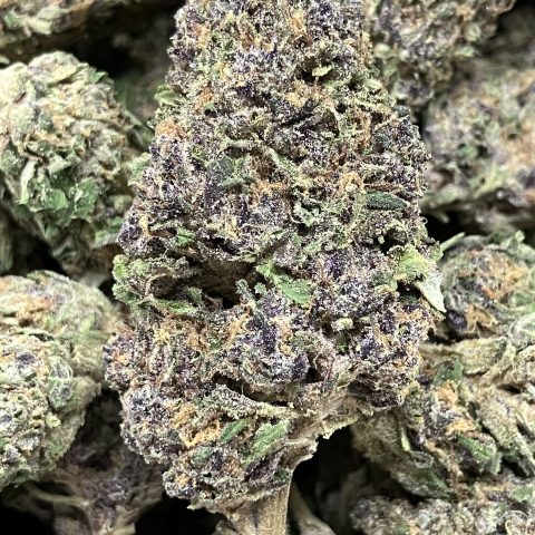 Pistil Gas Daily Flowers