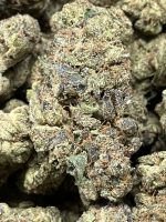 Emerald Fire Daily Flowers