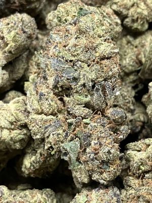 Emerald Fire Daily Flowers