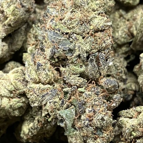 Emerald Fire Daily Flowers