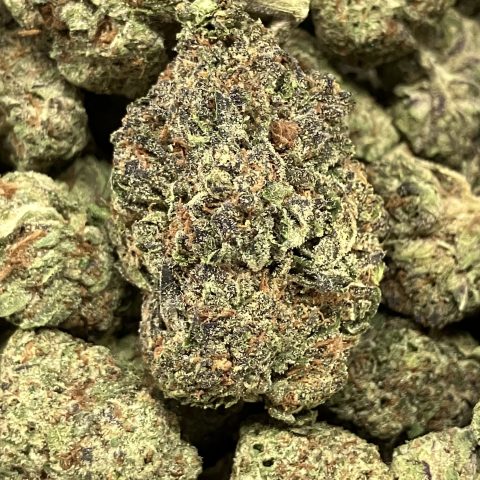 Jelly Rancher Daily Flowers